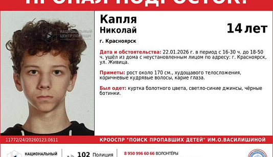 В Красноярске расследуют похищение подростка