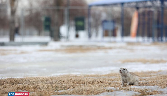 Погода на неделю: в Красноярске прогнозируют от -17 до +4 градусов