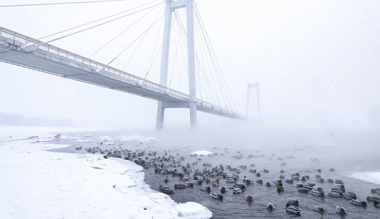Прогноз погоды на неделю: в Красноярске похолодает до -34 градусов