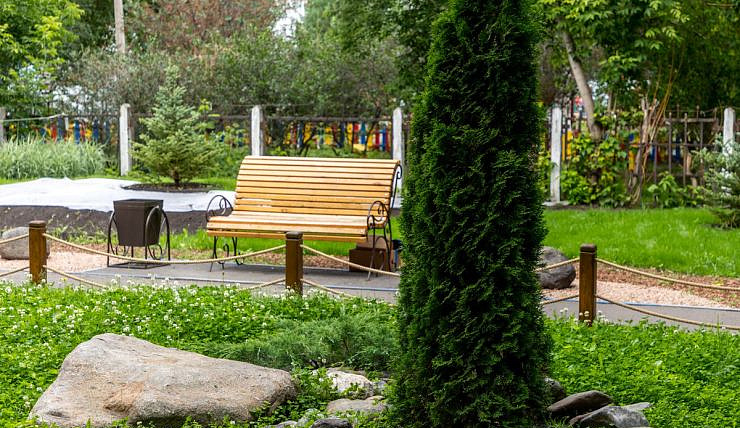 Красноярцы могут выиграть 100 тысяч рублей на озеленение своих дворов