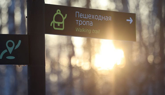 Красноярцев приглашают пройти 10 тысяч шагов в «Гремячей гриве»