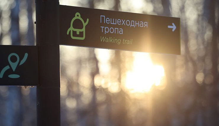 Красноярцев приглашают пройти 10 тысяч шагов в «Гремячей гриве»