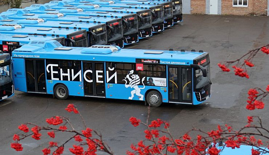 В Красноярск доставят 155 новых газомоторных автобусов