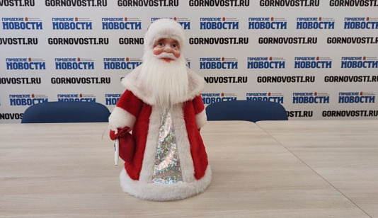 Красноярские дети на семейном обучении получат новогодние подарки