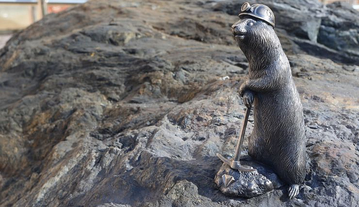 Суслик Гоша поселился у Института цветных металлов в Красноярске