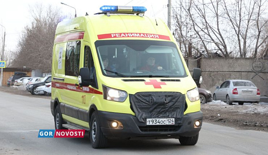 Красноярские медики разъяснили, какова вероятность заноса в регион лихорадки Чикунгуньи и вируса Нипах