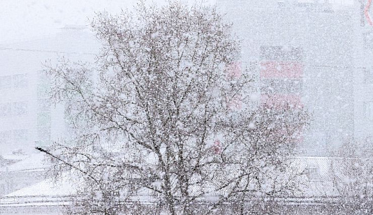 Красноярск накрыли снег и морозы – синоптик объяснил резкое похолодание