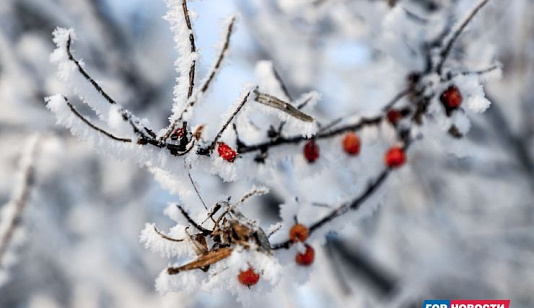  В Красноярске 23 декабря похолодает до -35 градусов