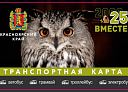 Проезд 35 рублей: красноярцы продолжают пользоваться транспортной картой
