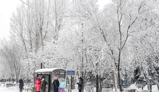 Почти 700 жителей Красноярского края пострадали от обморожений с начала холодов