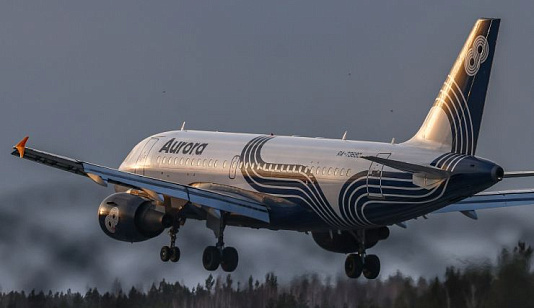 Снегопад в Москве вызвал задержки рейсов в аэропорту Красноярск