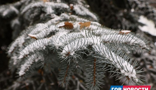 В последнюю неделю ноября красноярцев ждут погодные качели