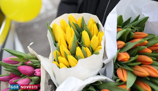 Главные Gornovosti недели: встречи с жителями районов, запрет на топку углём, новые дорожные знаки и региональное движение столбистов