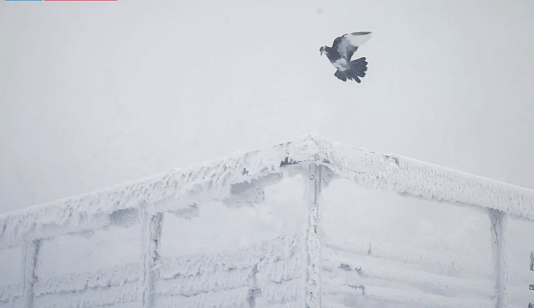 В центральные районы Красноярского края идет похолодание до -38