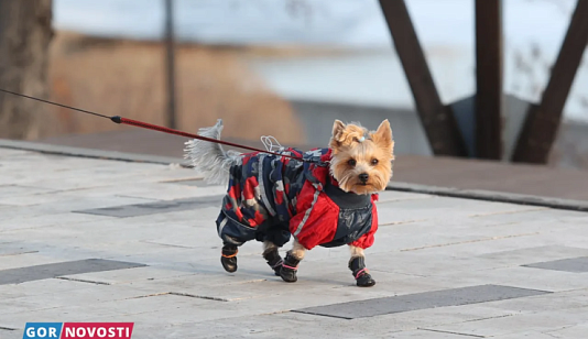 Погода на неделю: в Красноярске похолодает до -7 градусов